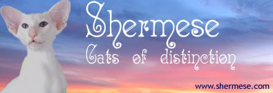 Shermese Banner